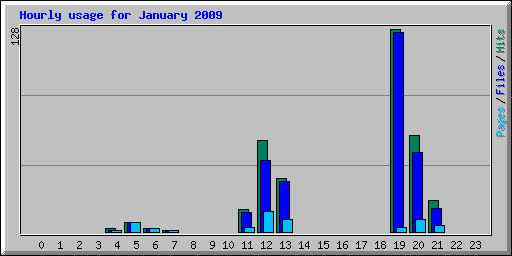 Hourly usage for January 2009