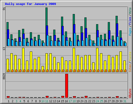 Daily usage for January 2009