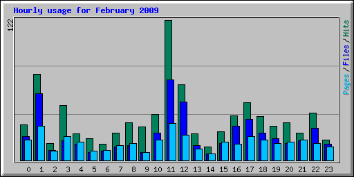 Hourly usage for February 2009