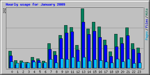 Hourly usage for January 2009