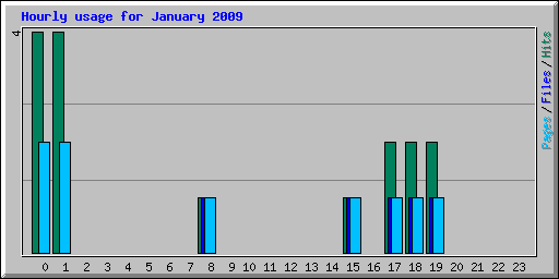 Hourly usage for January 2009