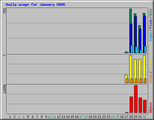 Daily usage for January 2009