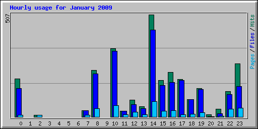 Hourly usage for January 2009